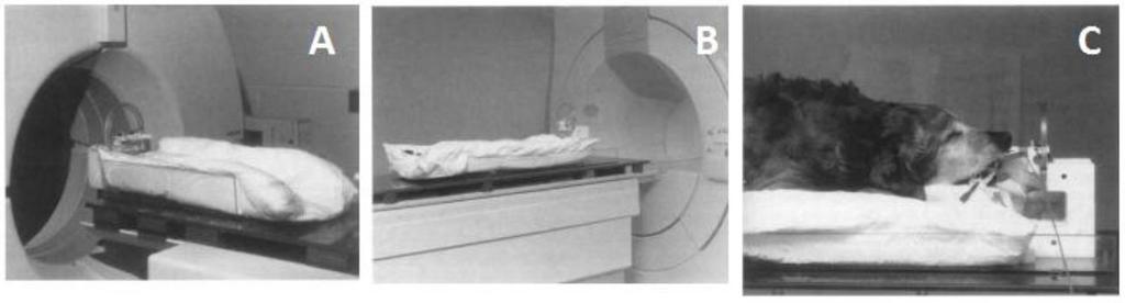 448 A Figura 3 ilustra o uso do colchão inflável no procedimento de aquisição das imagens tomográficas (A e B) e o posicionamento de um cão imobilizado para a realização da radioterapia (C).