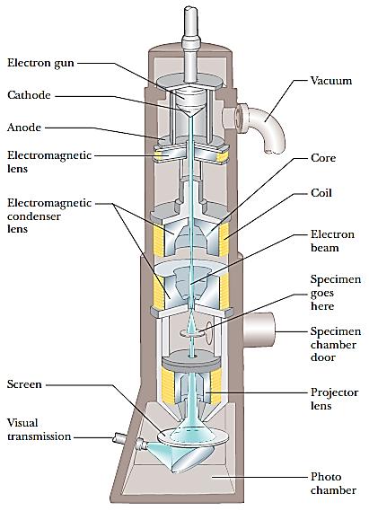 Microscópio eletrônico