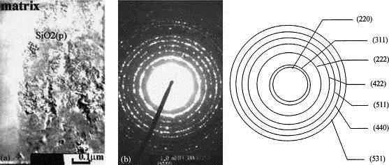 transmition electron microscopy)