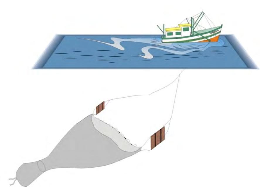 Barco camaroneiro equipado com rede