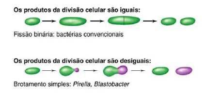 Divisão