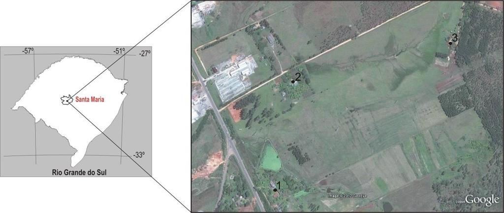 Figura 2: Loalização dos pontos de coleta das amostras no município de Santa Maria-RS. Fonte: Google Earth (2012).