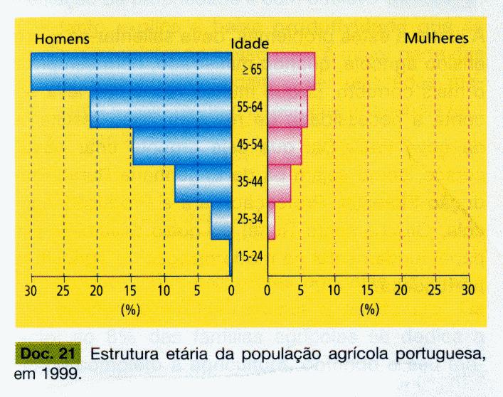 AS CARACTERÍSTICAS DA POPULAÇÃO AGRÍCOLA A caracterização da população agrícola passa necessariamente pela análise da estrutura etária e do nível de instrução.