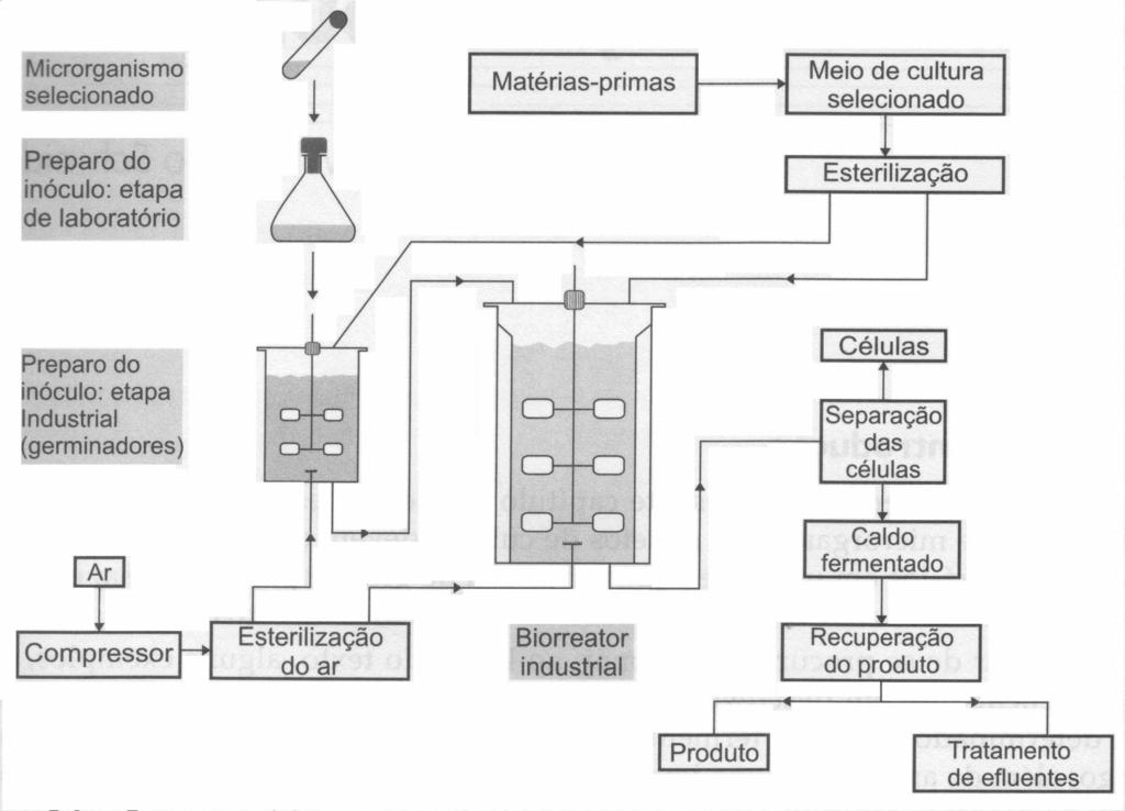 1. Motivação e Objectivos Alguns produtos de valor acrescentado (álcoois, antibióticos, aminoácidos e