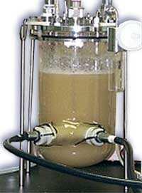 Processo aeróbio ou anaeróbio e decorre num bioreactor Optimizar as condições de produção de