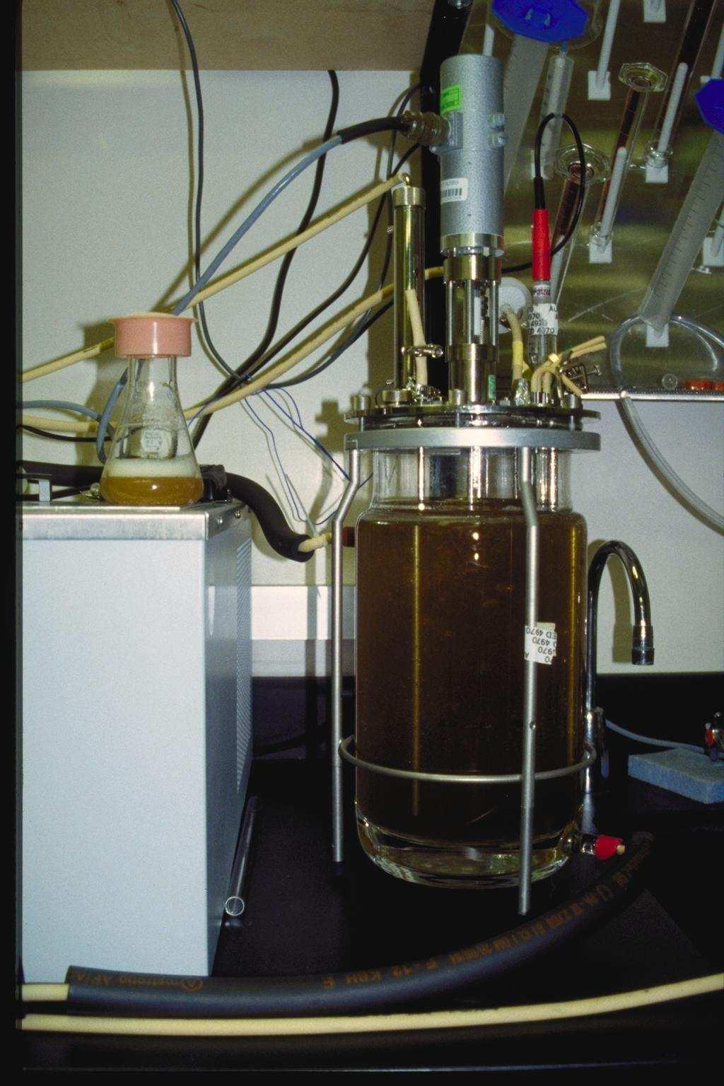 1. Motivação e Objectivos Optimização dos processos que decorrem em bioreactores Aumentar a quantidade de oxigénio disponível para as células em processos aeróbios por adição de uma segunda fase