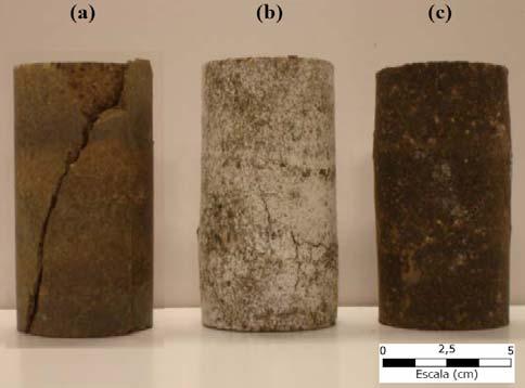 Foram realizados ensaios em amostras contaminadas sem a adição de cimento, notouse que quanto mais contaminada a amostra, maior a resistência.