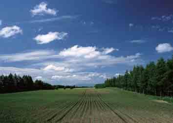 (Alta Sensibilid) (Foto suave) (Paisagem) (Retr.