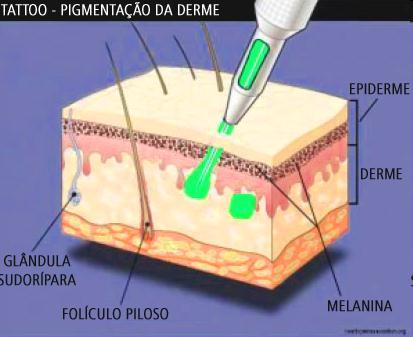 Camadas da pele A derme, camada localizada entre a epiderme e a hipoderme, é responsável pela resistência e elasticidade da pele.