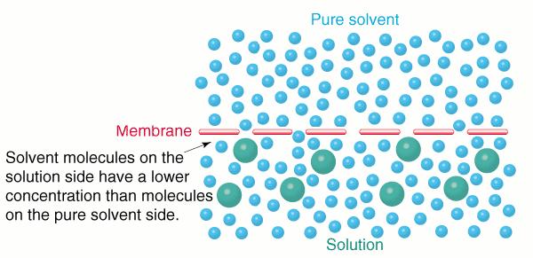 Osmose Osmose é definido como o fluxo de água através de uma membrana