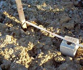 referência para o controle altimétrico da obra ou para a locação altimétrica de novos pontos na obra.