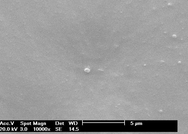 Figura 7 Micrografia da dispersão aquosa de poliuretana obtida via miniemulsão utilizando óleo de açaí.