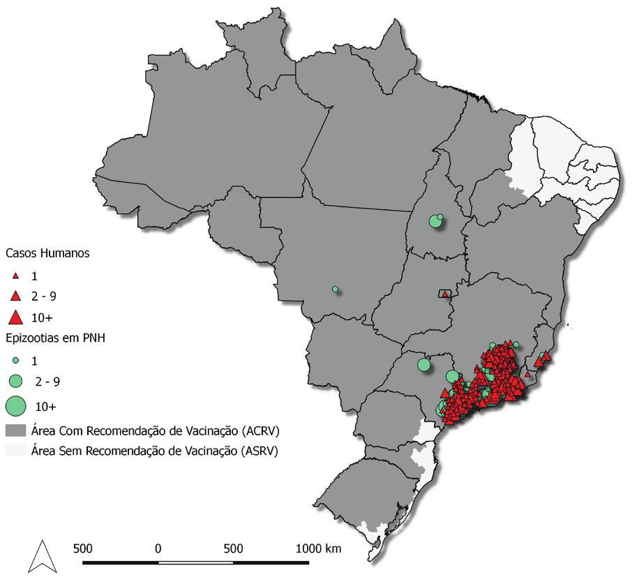 Fonte: CGDT/DEVIT/SVS/MS. Os pontos no mapa estão plotados no centroide do município e não georreferenciados no local de ocorrência do evento.