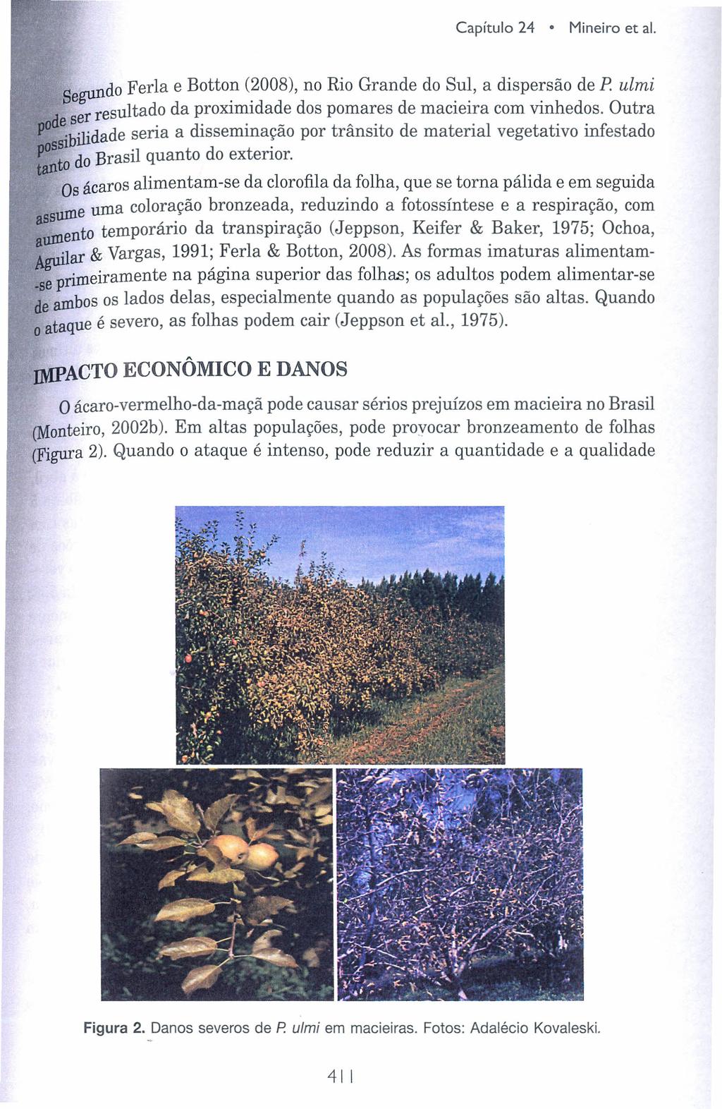 Capítulo 24 Mineiro et ai. S gundo Ferla e Botton (2008), no Rio Grande do Sul, a dispersão de P ulmi ser resultado da proximidade dos pomares de macieira com vinhedos.