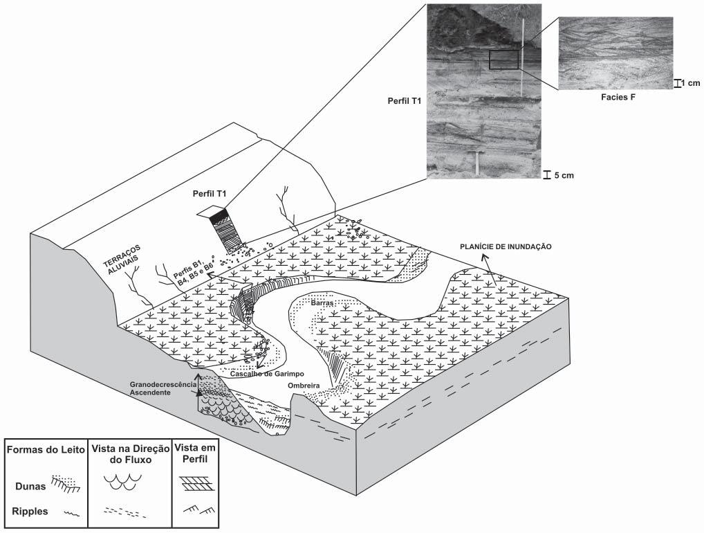 Análise estratigráfi ca e distribuição do arsênio em depósitos sedimentares quaternários da.