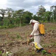 do uso adequado dos espaços ociosos nas entrelinhas.