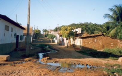 Características epidemiológicas Zoonose Transmissão