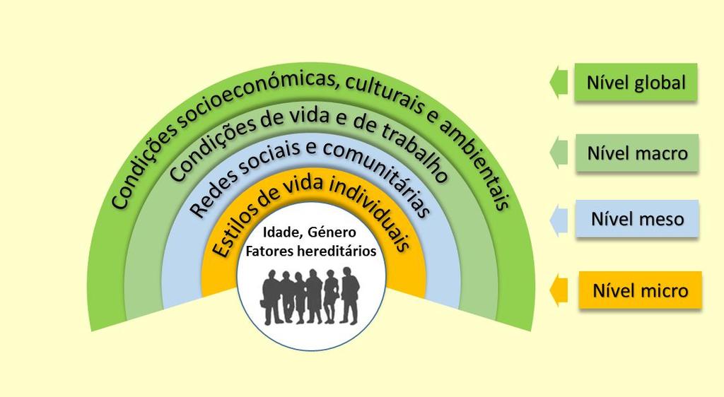 Determinantes Sociais