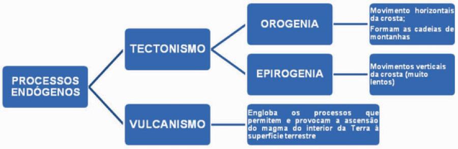 Dão origem às estruturas (morfoestruturas) e podem ser divididas em: 1.