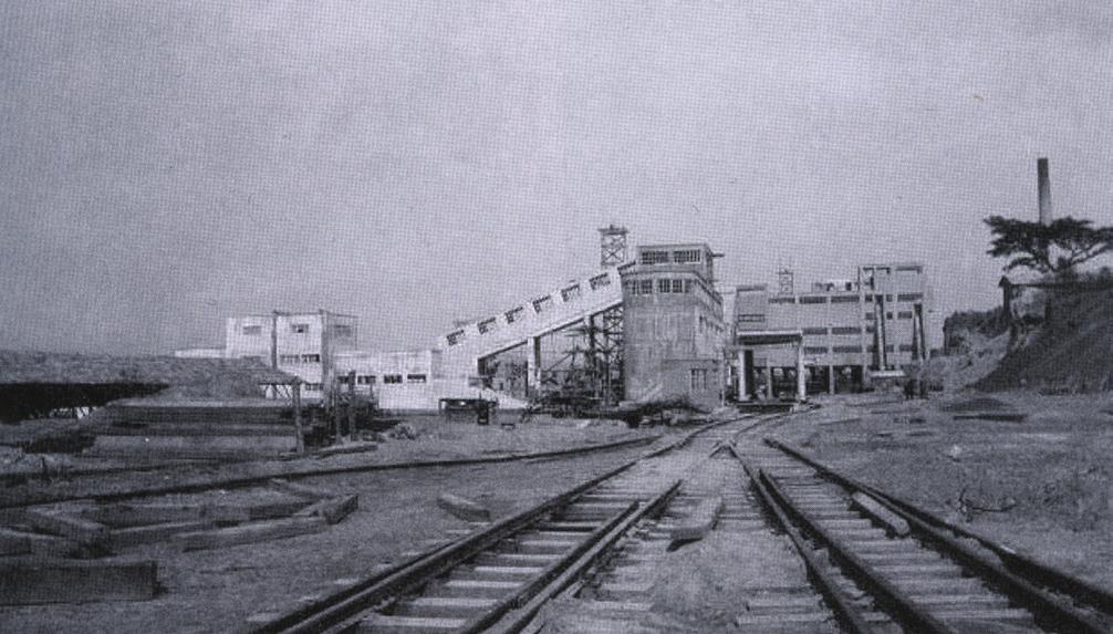 A partir da década de 1960, diante da necessidade de gerar energia elétrica para a região, foram construídas as primeiras unidades do Complexo Termelétrico Jorge Lacerda, localizado em Capivari de