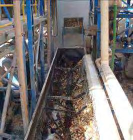 Lavadores-descascadores No Brasil, os lavadores-descascadores são semi-cilíndricos e a movimentação das raízes é feita por pás giratórias compostas por hastes metálicas em disposição helicoidal