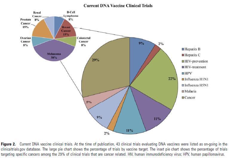 Estratégias para vacinas de DNA Testes importantes com a vacina de DNA experimental construída: Sequenciamento; Transfecção e expressão in vitro; Purificação em larga escala normalmente é