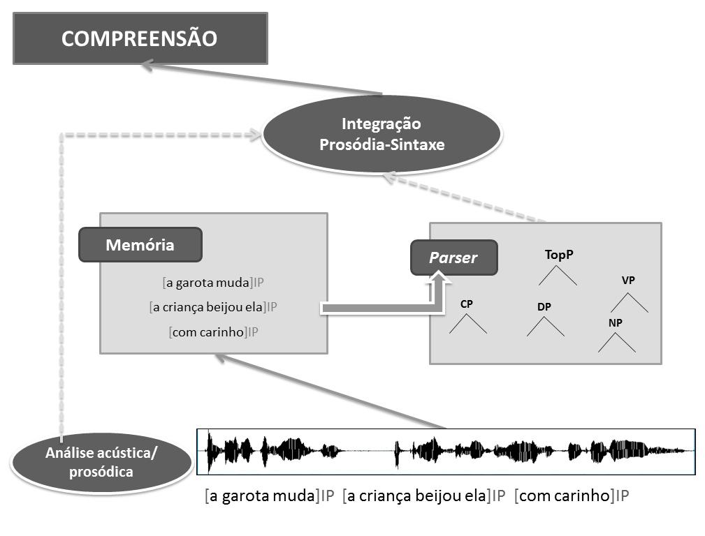 140 Figura 34: Processamento da estrutura de Tópico a partir das pistas prosódicas Portanto, esta tese buscou evidências sobre as pistas prosódicas utilizadas no curso do processamento linguístico,