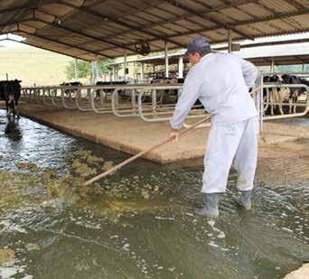 Comunicado Técnico Fevereiro, 78 ISSN 1678-3131 Juiz de Fora, MG 2017 Reaproveitamento de água residuária em sistemas de produção de leite em confinamento Conteúdos elaborados conforme a metodologia