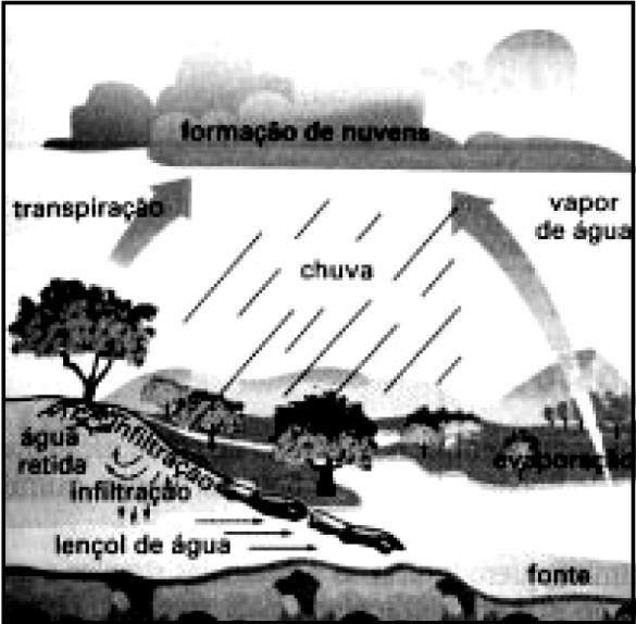 Questão 01) A figura representa o ciclo da água na natureza, que envolve um conjunto de processos cíclicos, como o da evaporação e o da condensação.