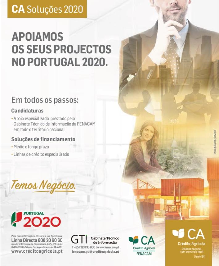 GTI Número 15 Dezembro 2015 de Informação Destaque Especial Portugal 2020 s ao Investimento Empresarial Por solicitação de várias CCAM com as quais o Gabinete Técnico de Informação da FENACAM tem