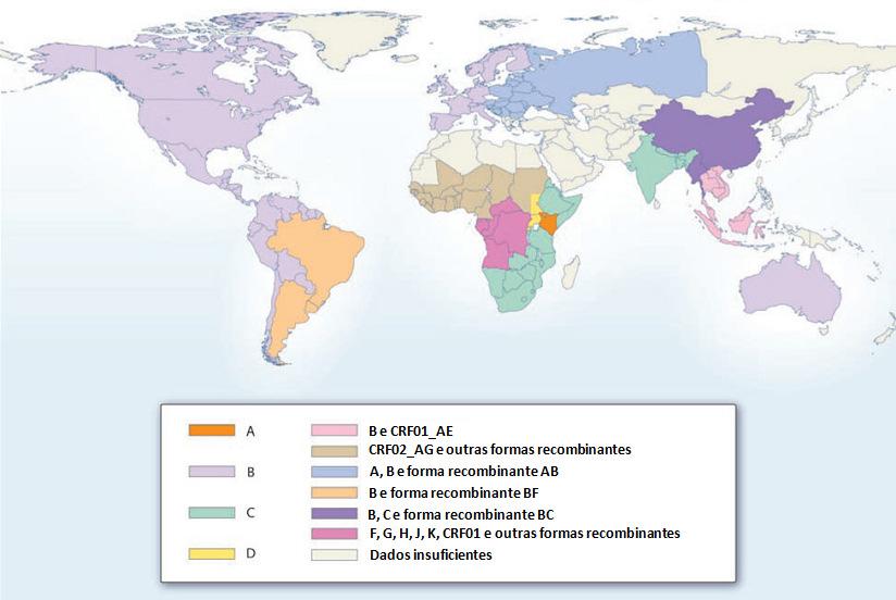 Almeida, RR 6 Figura 2A: Distribuição global dos subtipos e formas