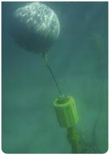 5 MW Wave Rider Energy Pty Ltd Actualmente a desenvolver uma central piloto perto de Elliston, Eyre