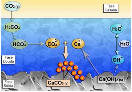 Concreto Carbonatação A presença de líquido intersticial, em quantidade suficiente na porosidade do concreto, permite ao CO 2 presente na atmosfera (sob a forma gasosa) dissolver-se para