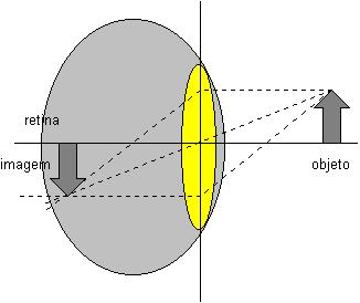8 Figura 2 Inversão da Imagem Fonte: (UEM, 1999) Agora tomar-se-á o exemplo ilustrado na Figura 3, onde os dois olhos são mostrados focalizando um objeto.