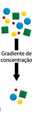 Transporte Passivo Difusão Gradiente de concentração indica a alteração no valor da concentração de determinada