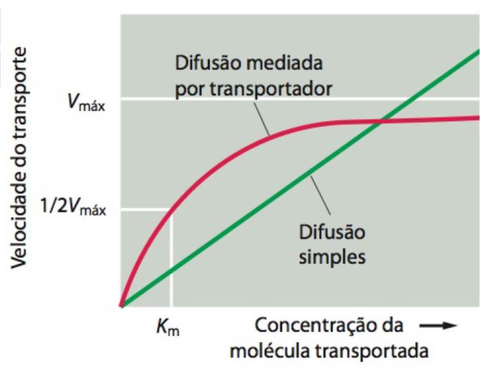 Transporte Passivo Difusão Simples e Facilitada Gradiente de concentração indica a alteração no valor da concentração de