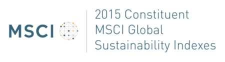 2005. > 11 anos adotando as diretrizes do GRI - Global Reporting Initiative > 2 anos