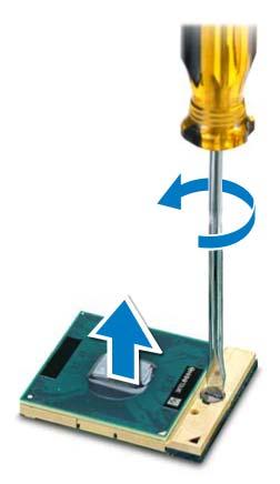 Procedimento 1 Para soltar o soquete ZIF, use uma chave de fenda pequena e gire o parafuso do came do soquete ZIF no sentido anti-horário até o came parar.