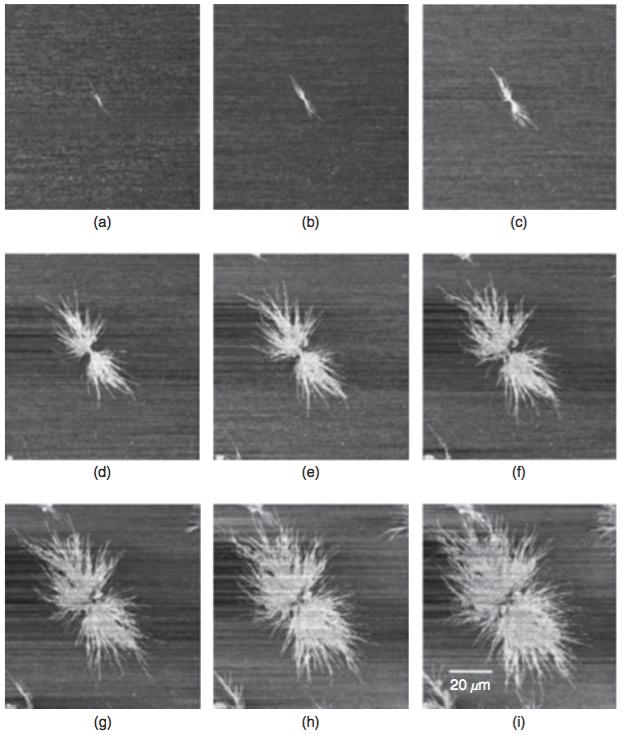 Figura 9 Imagens de AFM do desenvolvimento de um esferulito de PBA-C8. (Todas as imagens possuem a mesma escala que a (i).