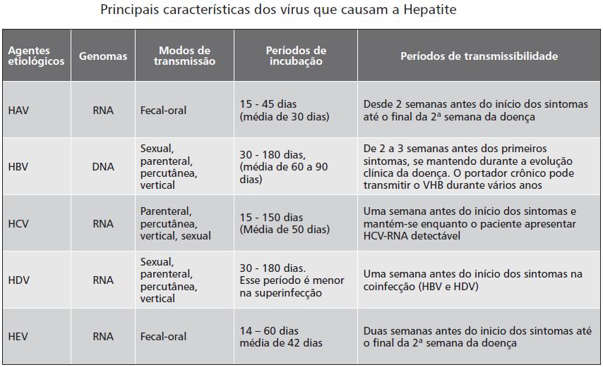 Manifestações Clínicas: Após entrar em contato com o vírus, o indivíduo pode desenvolver hepatite aguda oligo/assintomática ou sintomática.