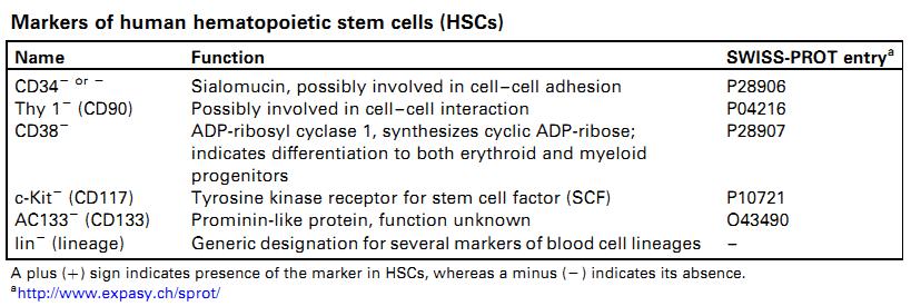 Mecanismos celulares e moleculares As HSC possuem