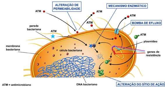 Intrínseca Adquirida Mutações Aquisição de DNA exógeno