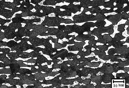 Figura 19. Micrografia da amostra SAF 2205 de 900ºC envelhecida por 8 horas.