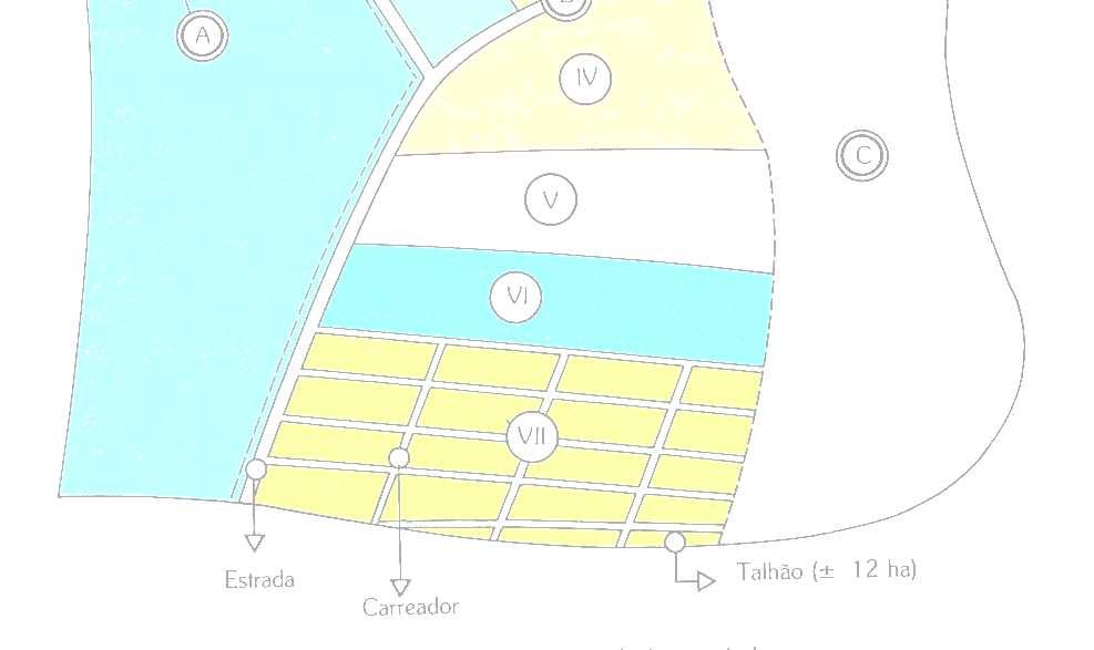 Açúcar e Álcool - LAN 1458 Qualidade da matéria-prima Planejamento e