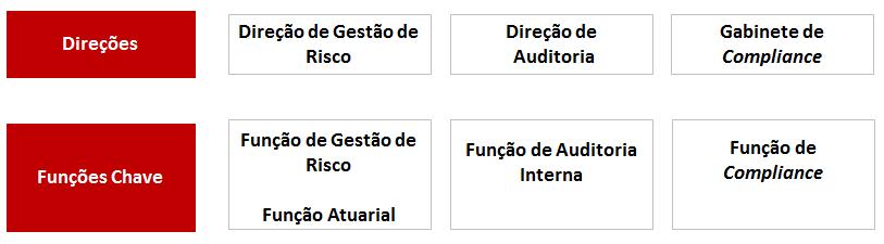 Figura 2 - Funções-chave Relativamente a estes órgãos, encontram-se definidas as seguintes funções: 2.1.