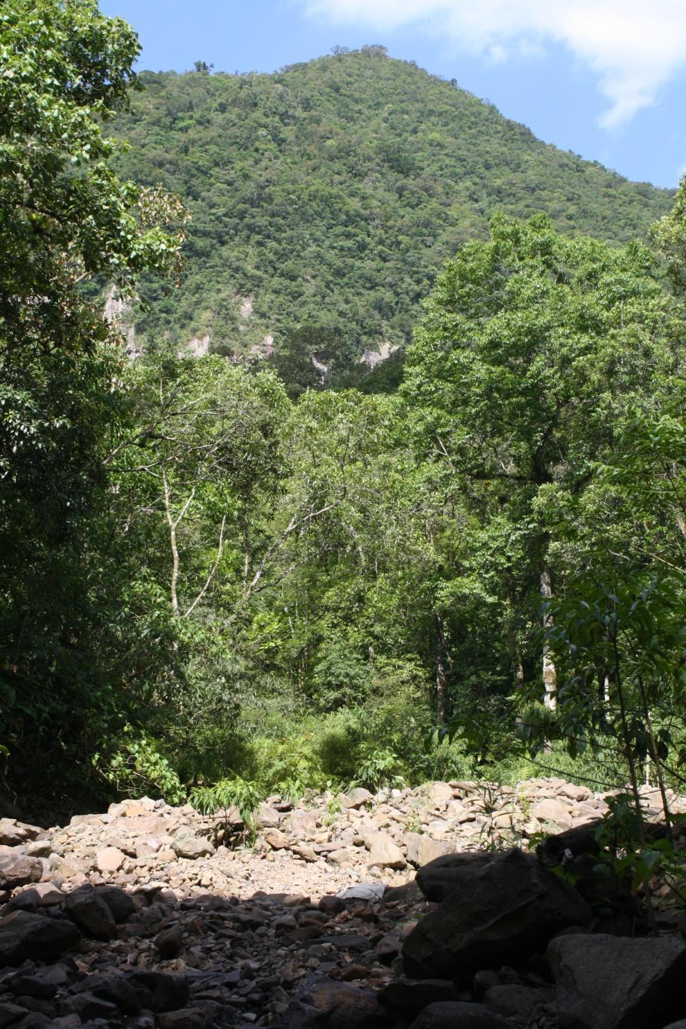 22 Figura 9 Em segundo plano e a direita, vista geral da mata onde está localizada a trilha masto. Ao fundo o morro representando divisor de águas da microbacia do rio Morto.