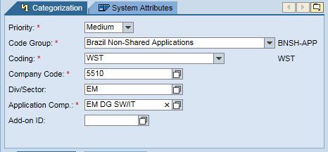 : Nesse campo digite o nome do módulo do WST ao qual o requerimento se refere; (*) Coding HP Business Solution