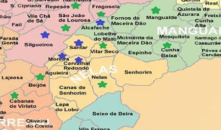 Mapa 2. Distribuição dos pontos de prospecção ST e FD no concelho de Nelas, Mangualde e Viseu. Dão, 2010. Flavescência dourada e S.