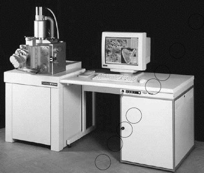 Tecnai F 20 field emission gun (FEG) ETEM operando