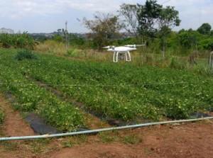 17/11/2016 Os drones estão ajudando a combater as pragas em plantações de tomate Com o uso de análise de imagens da área produtiva, registradas em uma câmera fotográfica acoplada a um Veículo Aéreo